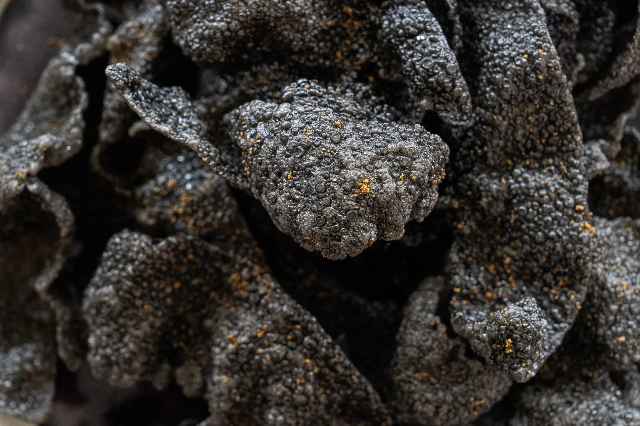 Truffle chips