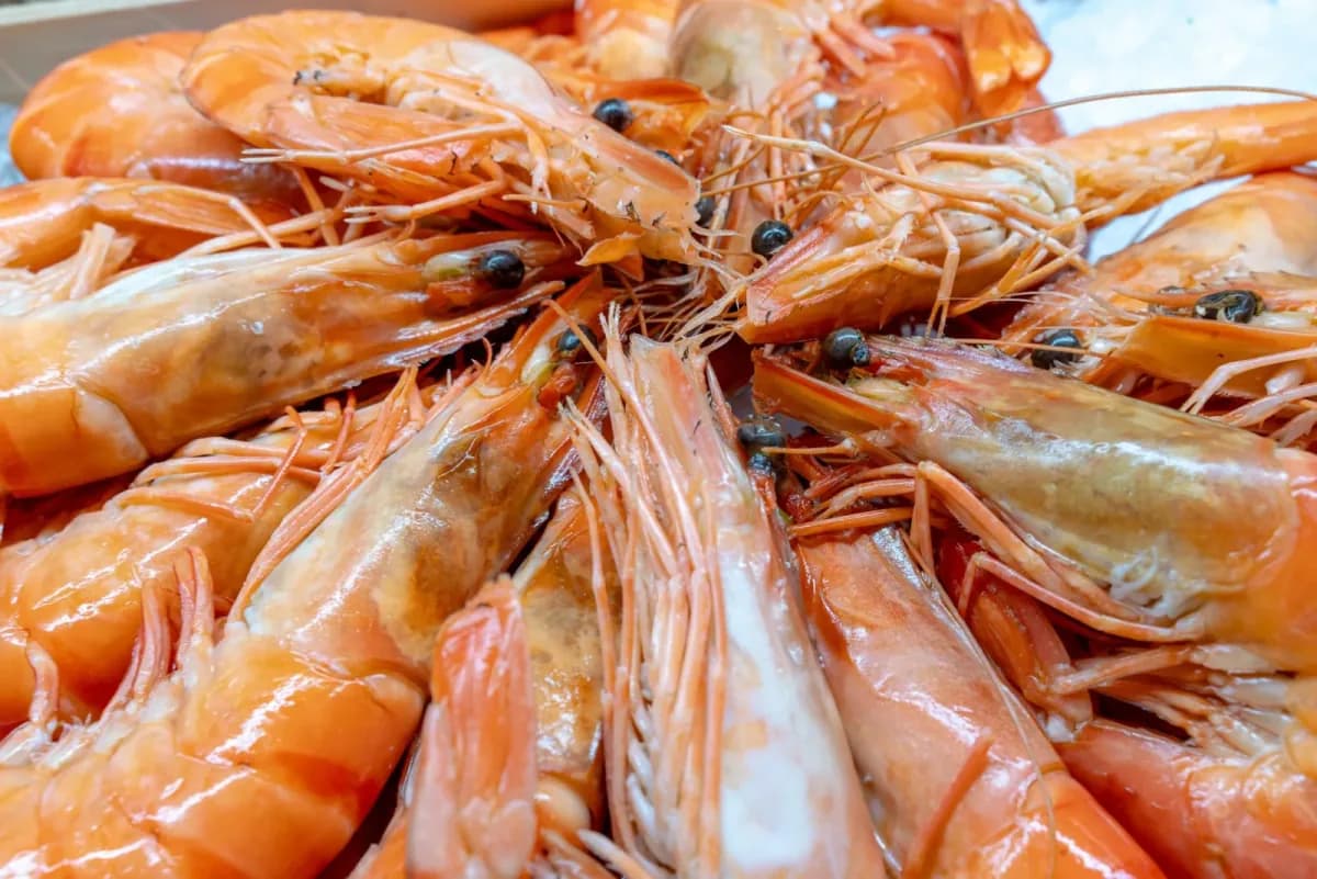 Gambas dispuestas en corona