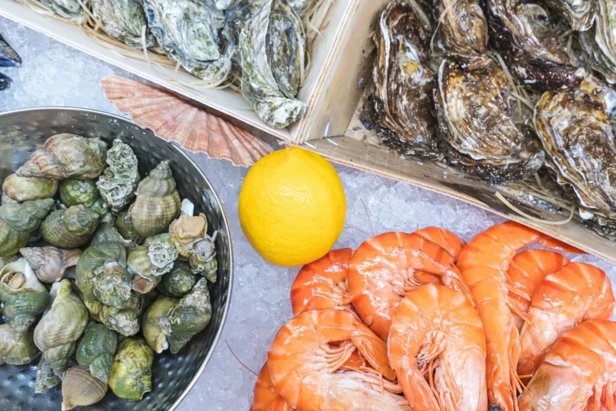 Ostras, caracoles de mar y gambas sobre hielo, con un limón