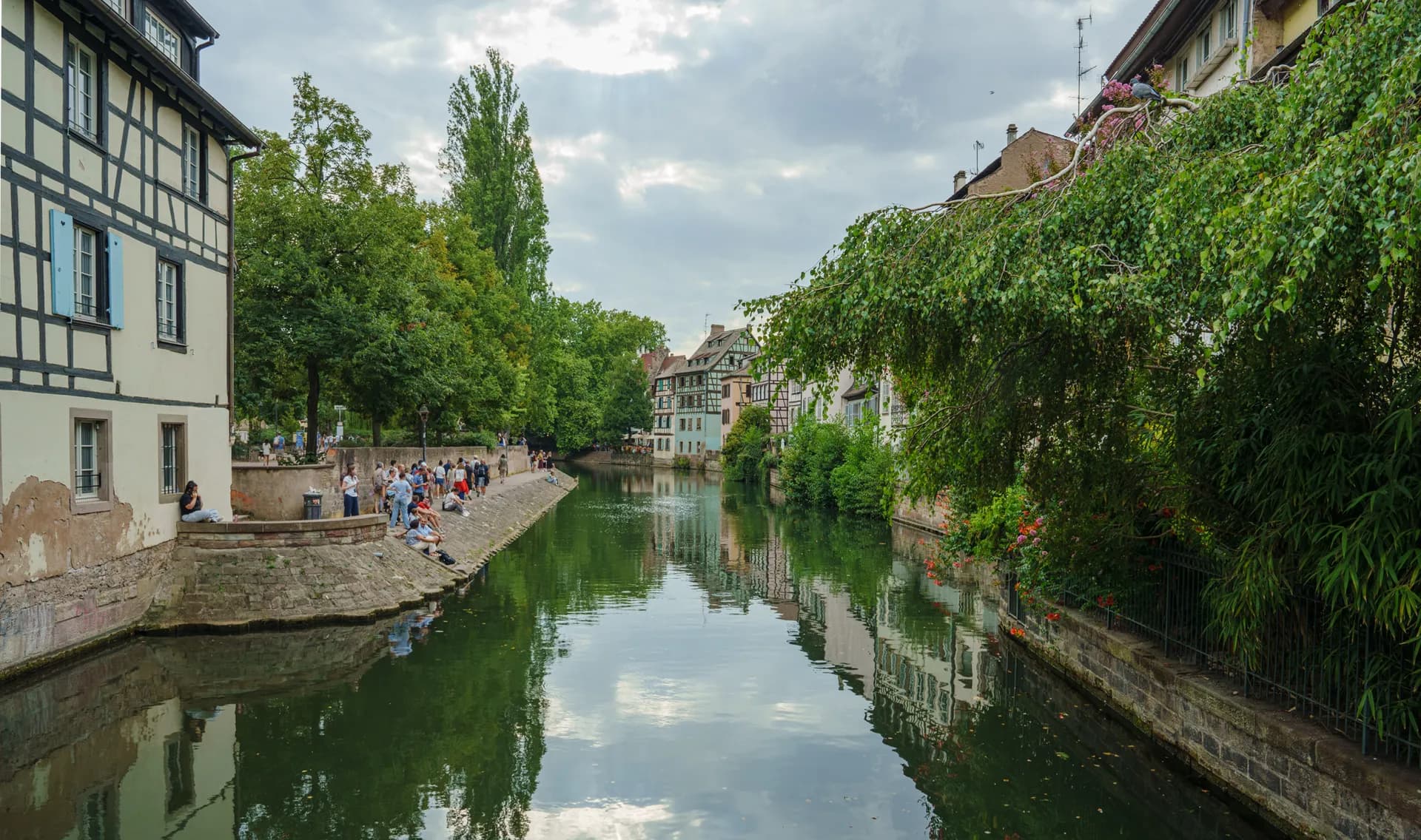Muelles y canal bordeados de árboles en Estrasburgo