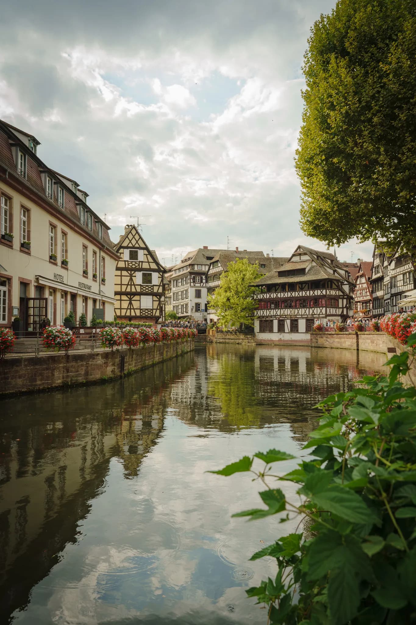 Reflejos de las casas con entramado de madera en los canales de Estrasburgo