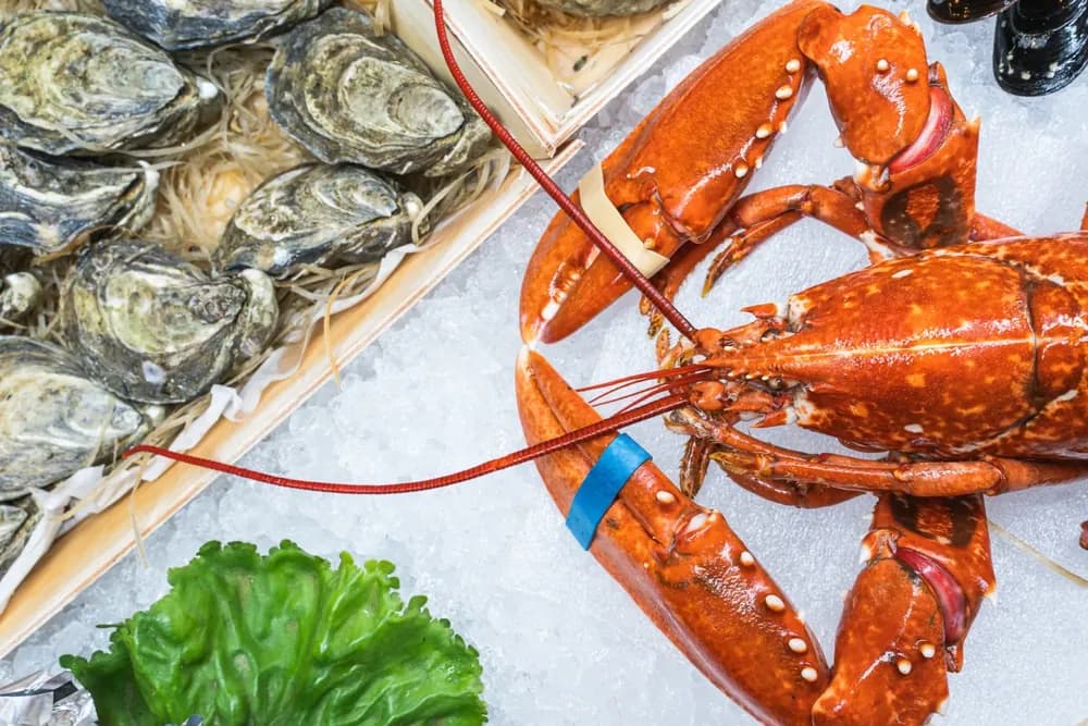 Lobster and seafood on ice